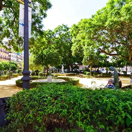 Letmalaga Economy Compas *