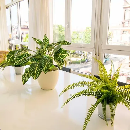 Letmalaga Economy Compas Málaga